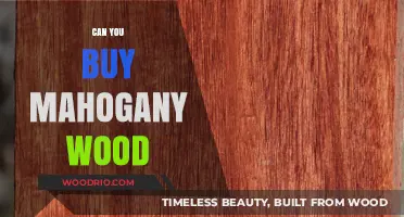 Where to Buy Mahogany Wood: A Comprehensive Guide for Buyers