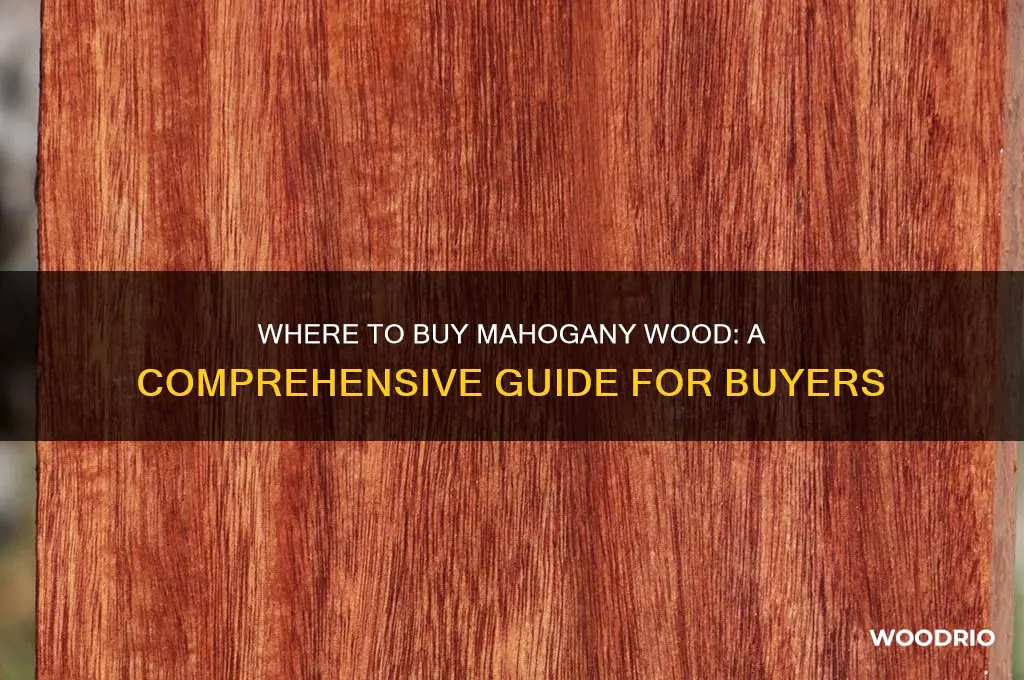can you buy mahogany wood