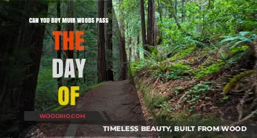Buying Muir Woods Pass Same Day: What You Need to Know