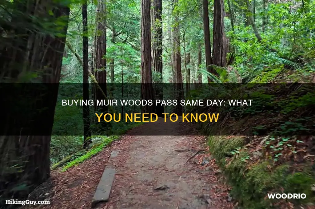 can you buy muir woods pass the day of