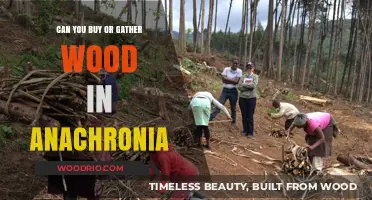 Gathering or Buying Wood in Anachronia: A Comprehensive Guide