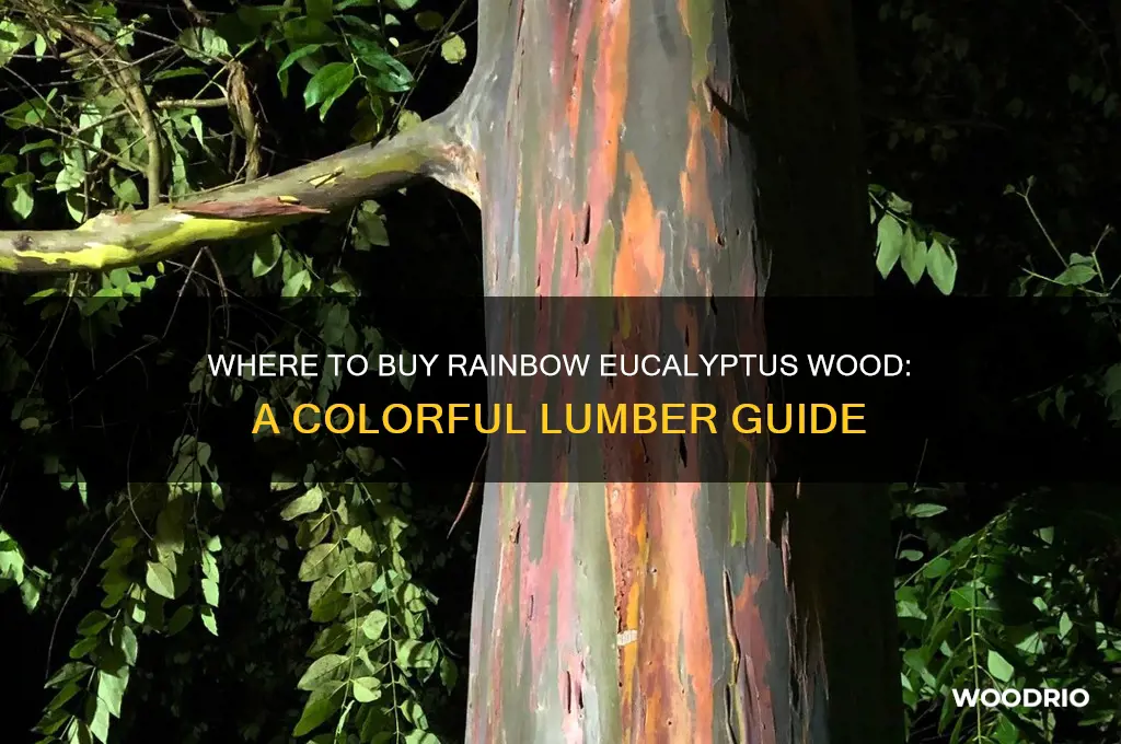 can you buy rainbow eucalyptus wood