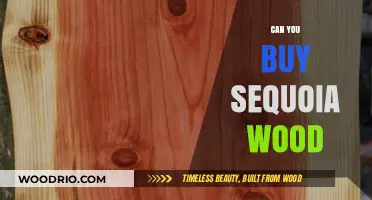 Is Sequoia Wood Available for Purchase? Exploring Legal and Ethical Considerations