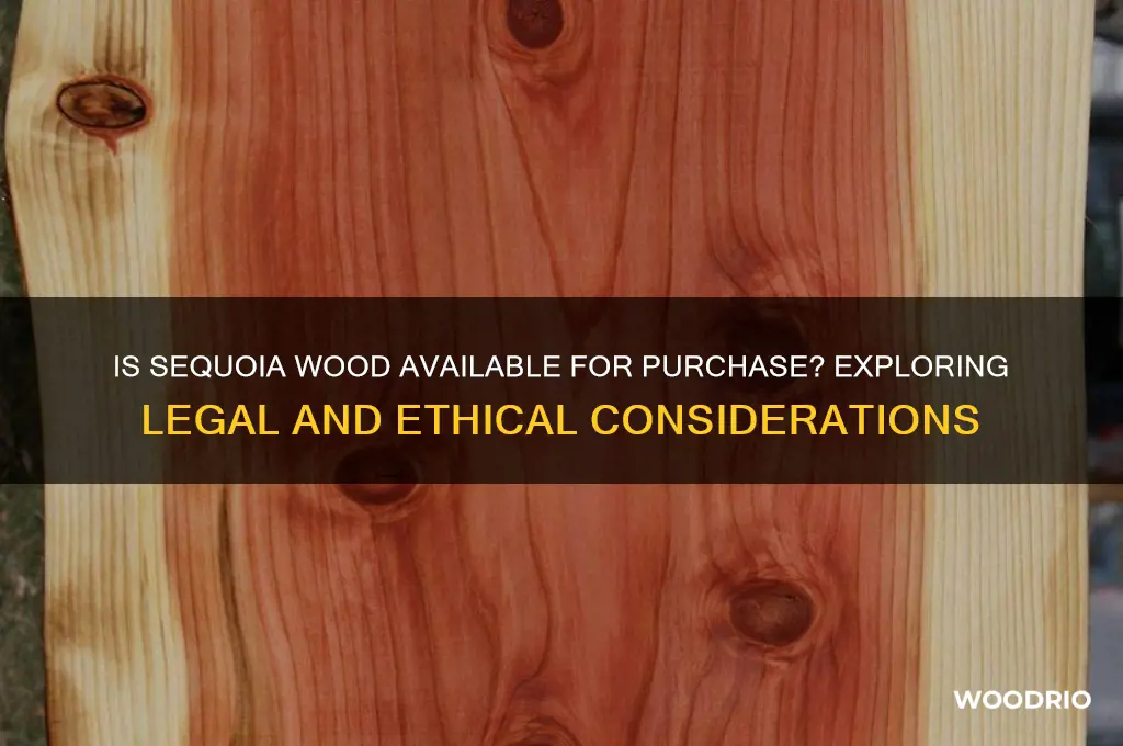 can you buy sequoia wood
