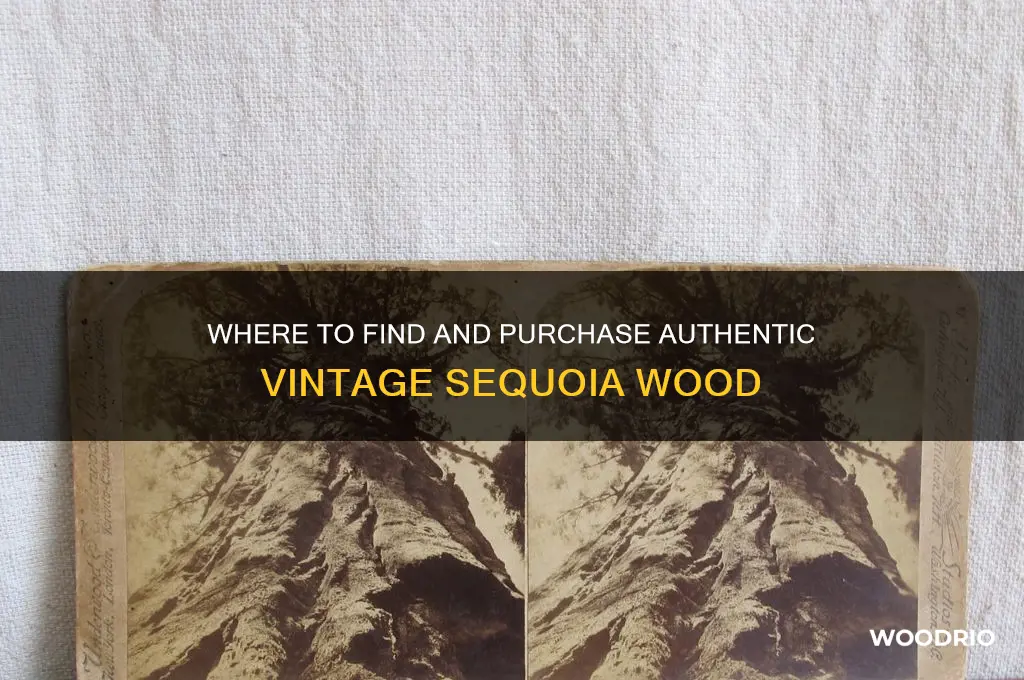 can you buy vintage seqoiua wood