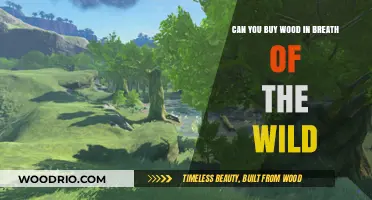 Where to Find and Buy Wood in Breath of the Wild