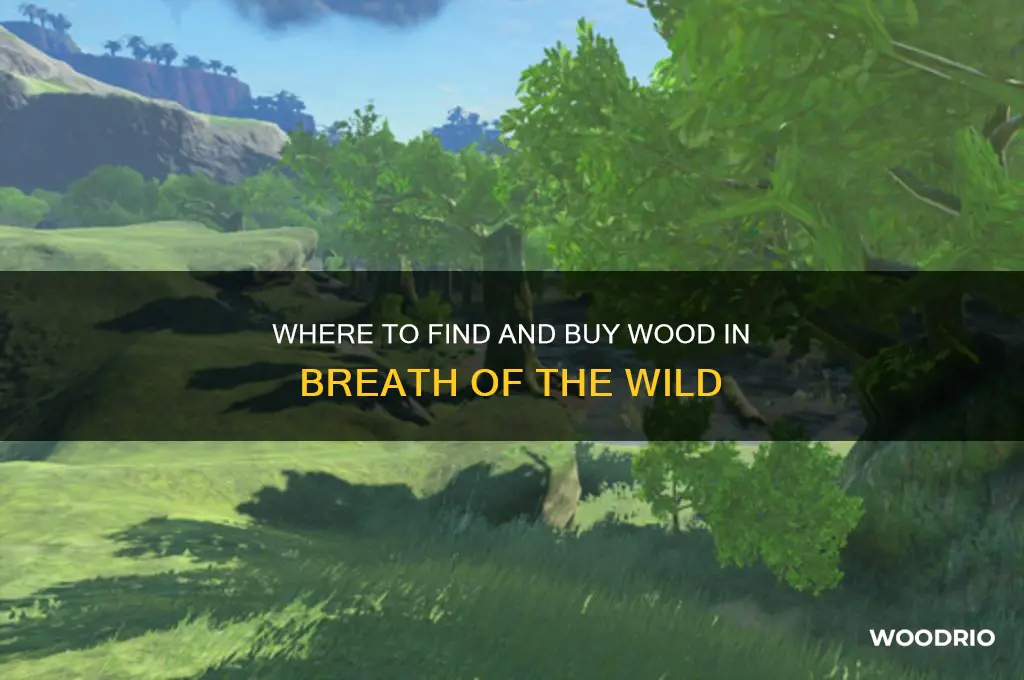 can you buy wood in breath of the wild