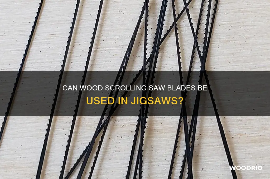 can you buy wood scrolling saw blades for jigsaws