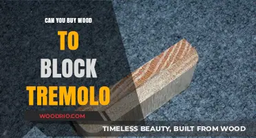 Buying Wood to Block Tremolo: A Practical Guide for Guitarists