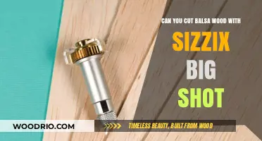 Crafting with Precision: Sizzix Big Shot for Balsa Wood Cuts