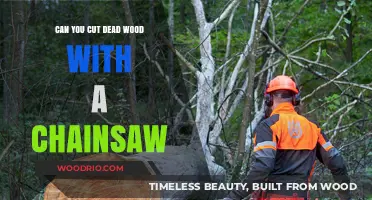 Reviving Your Chainsaw: Tips for Cutting Dead Wood Safely