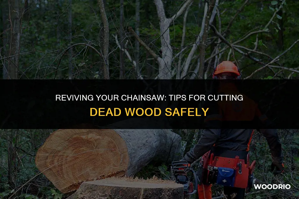 can you cut dead wood with a chainsaw