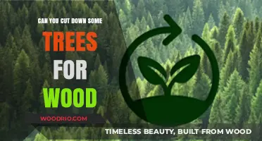 Sustainable Forestry: Harvesting Wood While Preserving Nature