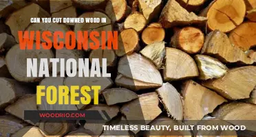 Exploring Woodcutting Regulations in Wisconsin's National Forests