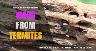 Termite-Damaged Wood: Effective Strategies for Safe Removal and Repair