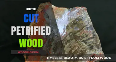 Unearthing Ancient Timber: The Art of Cutting Petrified Wood
