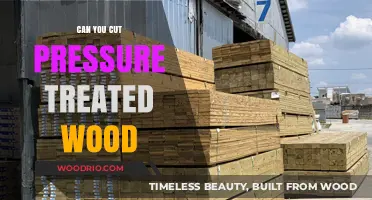 Precision Cuts: Working with Pressure-Treated Wood Safely