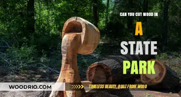 Exploring Woodcutting Regulations in State Parks: A Comprehensive Guide