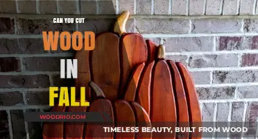 Autumn Woodworking: Tips for Cutting Wood in the Fall Season
