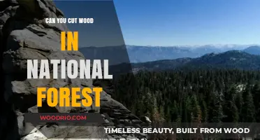 Exploring the Rules: Woodcutting in National Forests