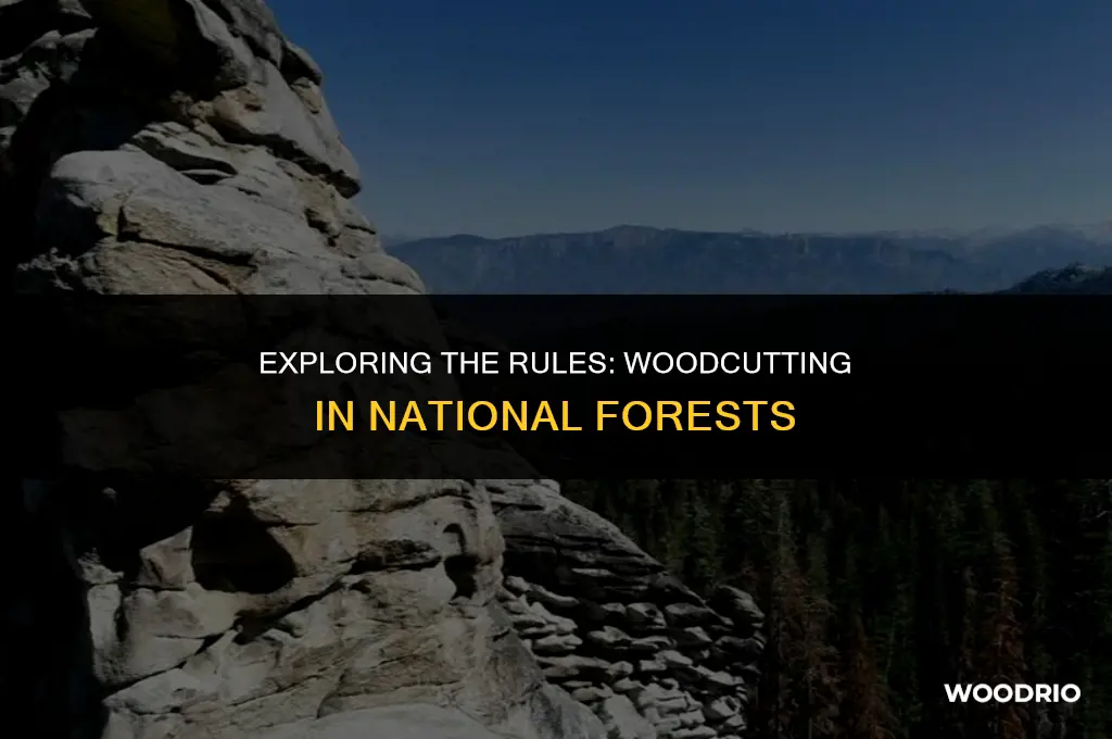 can you cut wood in national forest