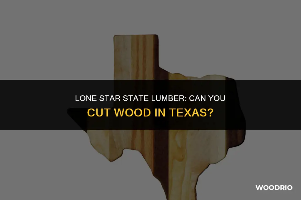 can you cut wood in texas