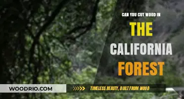 Exploring Woodcutting Regulations in California's Forests