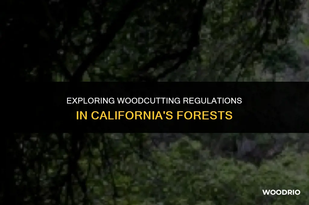 can you cut wood in the california forest