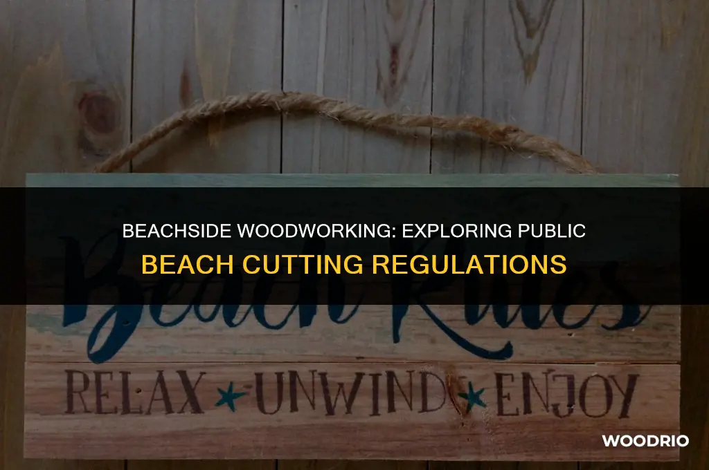 can you cut wood on a public beach