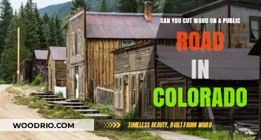 Colorado Roadside Woodcutting: Legalities and Safety Considerations