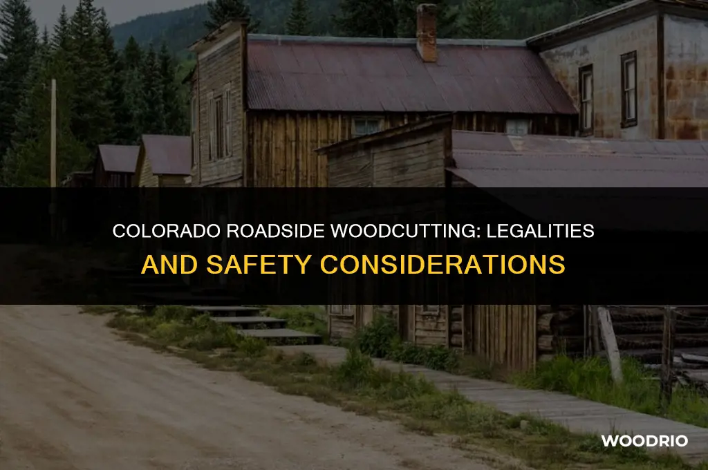 can you cut wood on a public road in colorado
