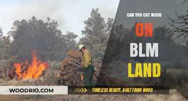 Exploring Woodcutting Regulations on BLM Lands: A Comprehensive Guide