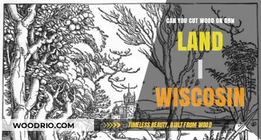 Wisconsin's DRN Land: Understanding Woodcutting Regulations and Practices