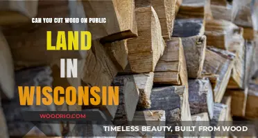 Exploring Wisconsin's Public Land: A Guide to Woodcutting Regulations