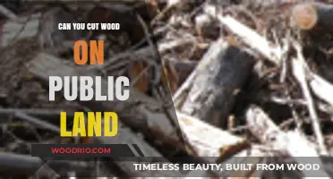 Exploring the Legalities: Can You Cut Wood on Public Land?