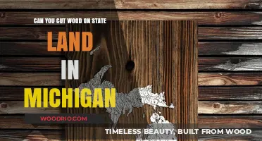 Exploring Michigan's State Land: Woodcutting Regulations and Guidelines