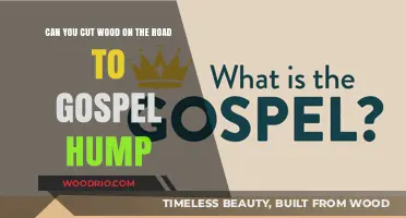 Crafting Timber Melodies on the Path to Gospel Summit