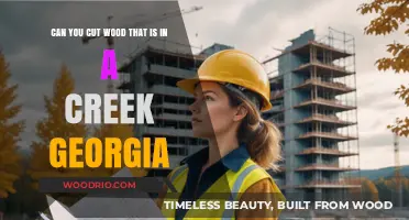 Georgia Creek Wood Cutting: Legal and Environmental Considerations
