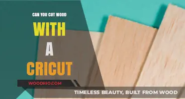 Precision Crafting: Can You Cut Wood with a Cricut?