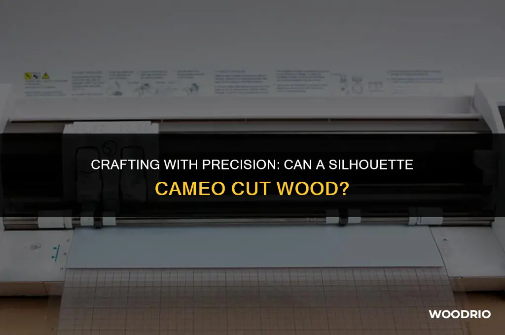can you cut wood with a silhouette cameo