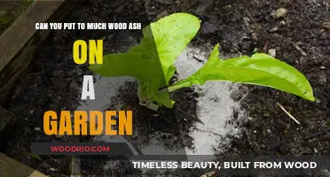 Gardening Myth-Busted: The Truth About Wood Ash in Your Garden