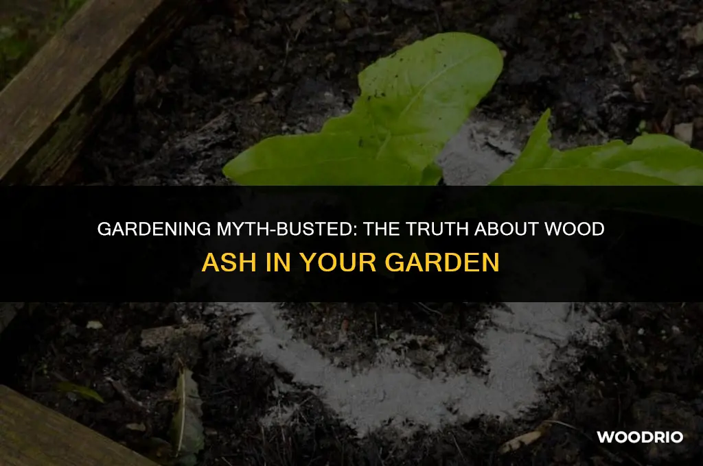 can you put to much wood ash on a garden
