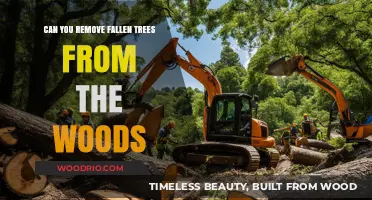 Clearing the Way: A Guide to Removing Fallen Trees from Woodlands