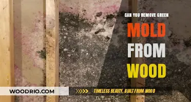 Effective Methods to Eliminate Green Mold from Wood Surfaces