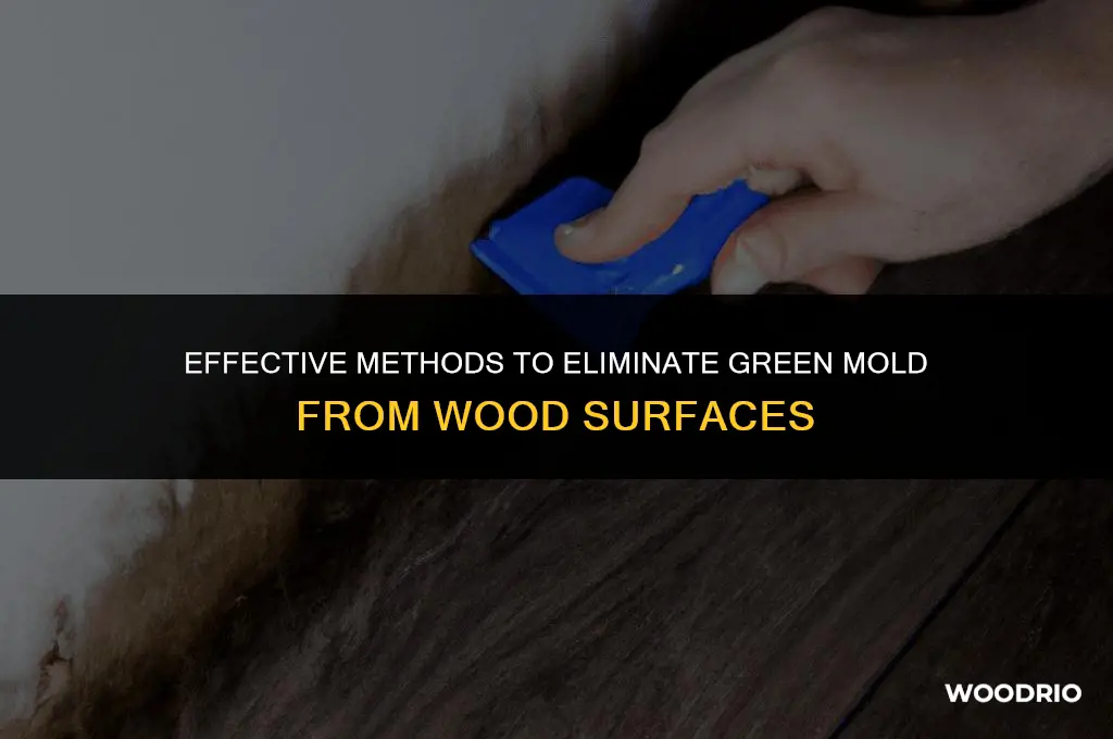 can you remove green mold from wood