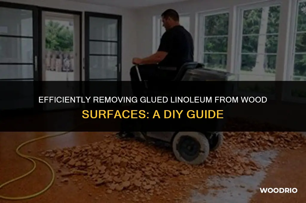 can you remove linoleum that is glued to wood