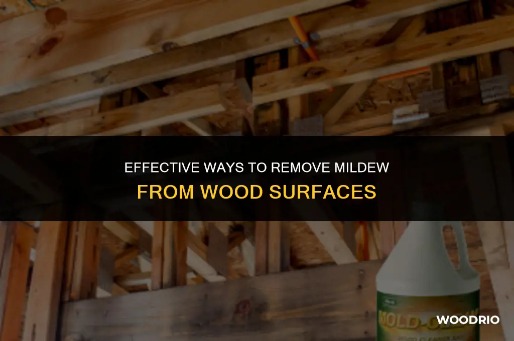 can you remove mildew from wood