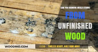 Erasing Mold Marks: A Guide to Treating Unfinished Wood Surfaces