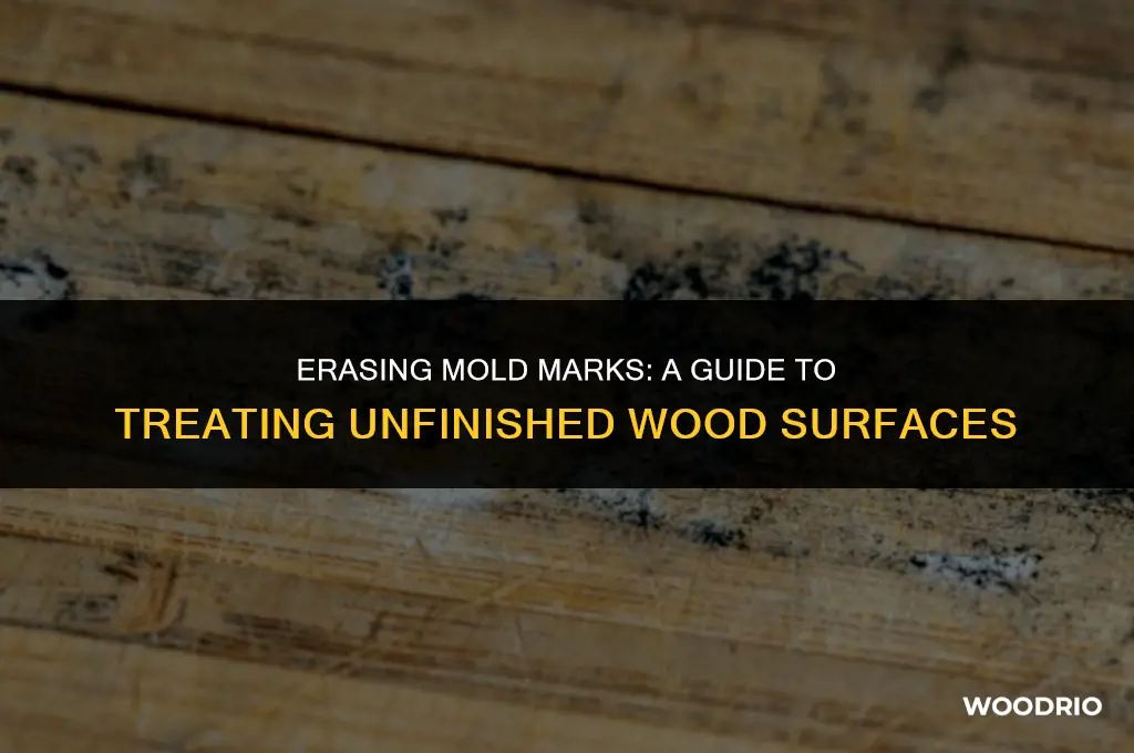 can you remove mold stains from unfinished wood