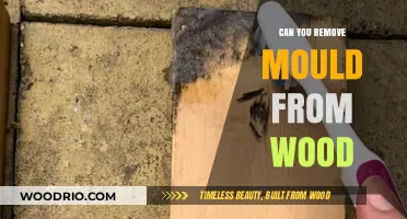 Effective Ways to Remove Mold from Wood Surfaces